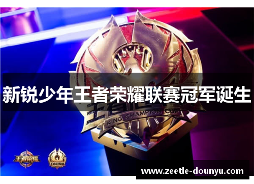 新锐少年王者荣耀联赛冠军诞生